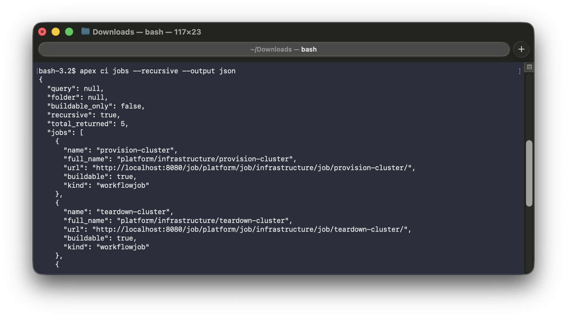 apex ci jobs json output
